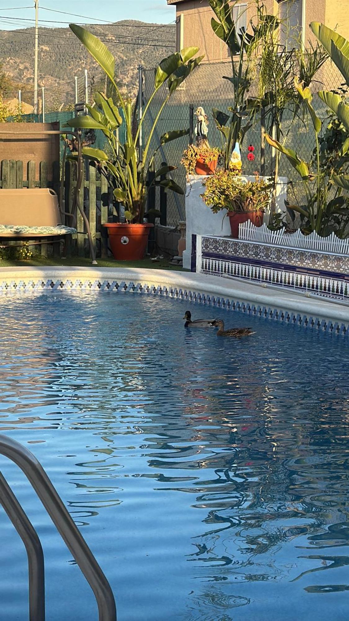 Holiday home A 4km De Con Piscina Y Caliente