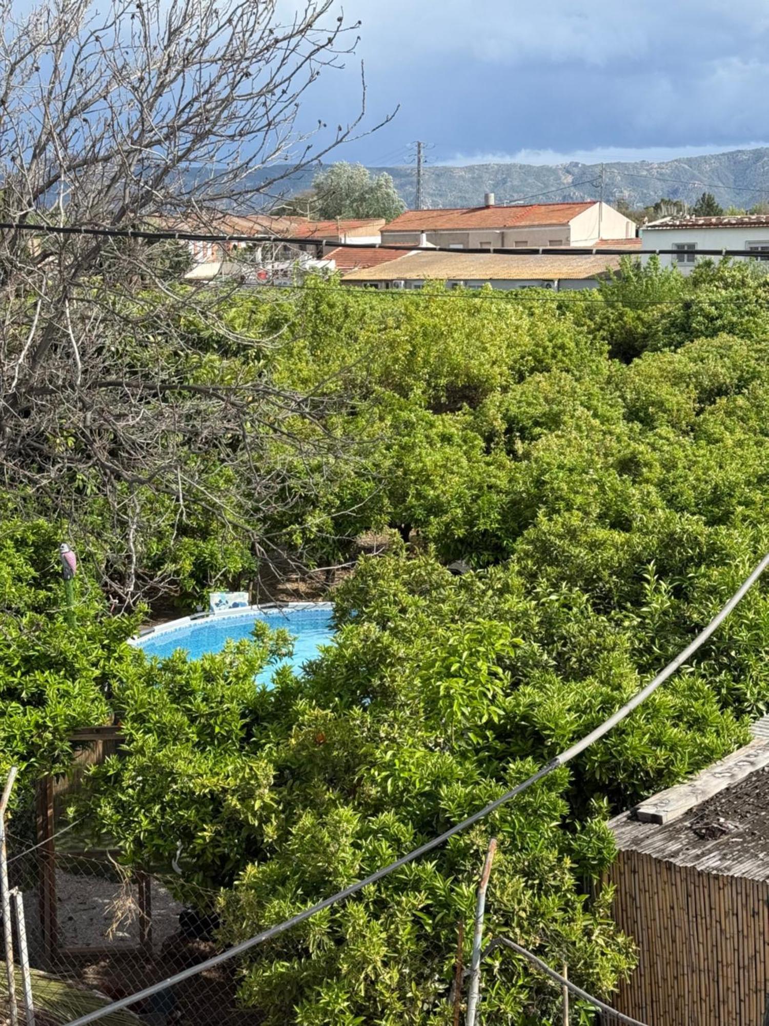 Campo de lujo Glamping De Huerta La Arboleja