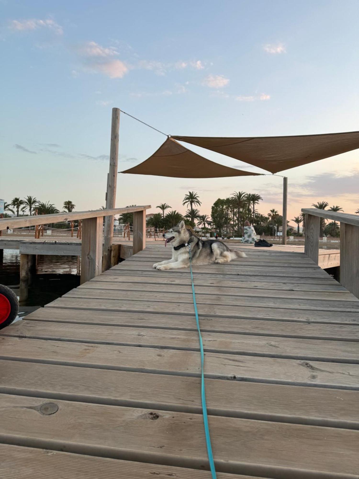 Mare - 2 Beds With Balcony, Patio And Pool And Direct Park Access Murcia