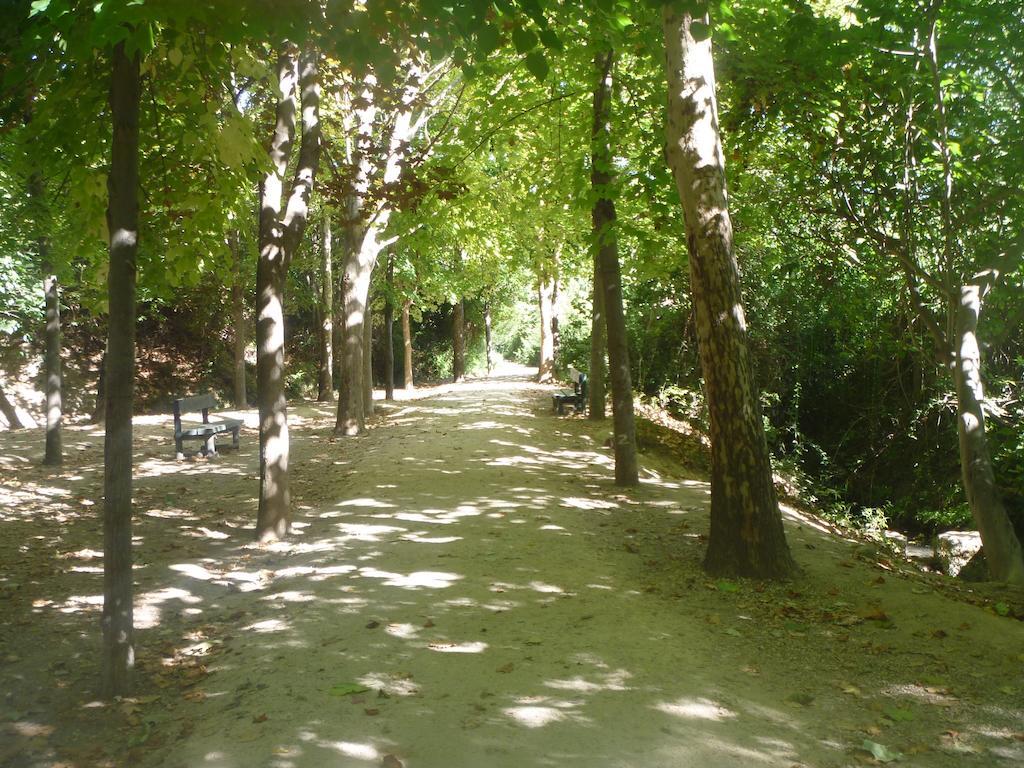 El Llano 2*