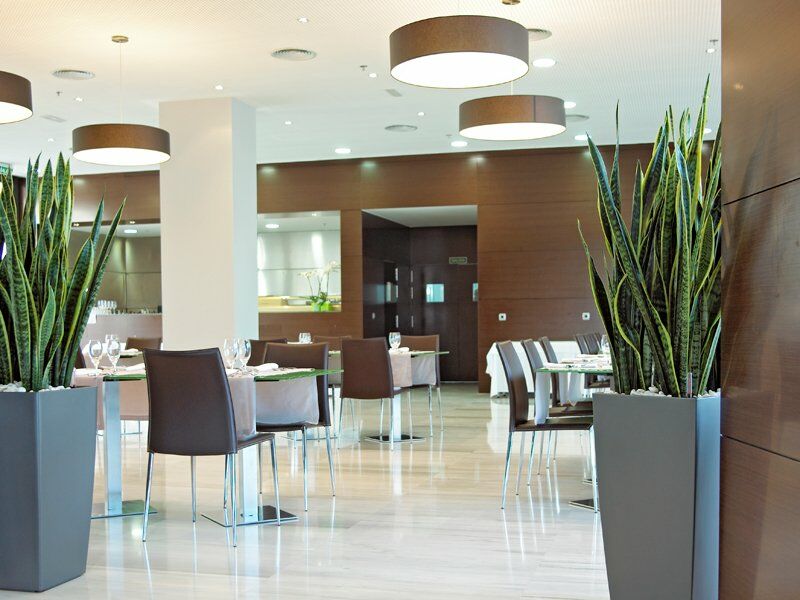 Sercotel Jc1 4* Murcia