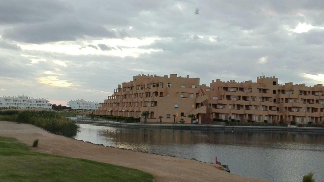 Aya Murcia