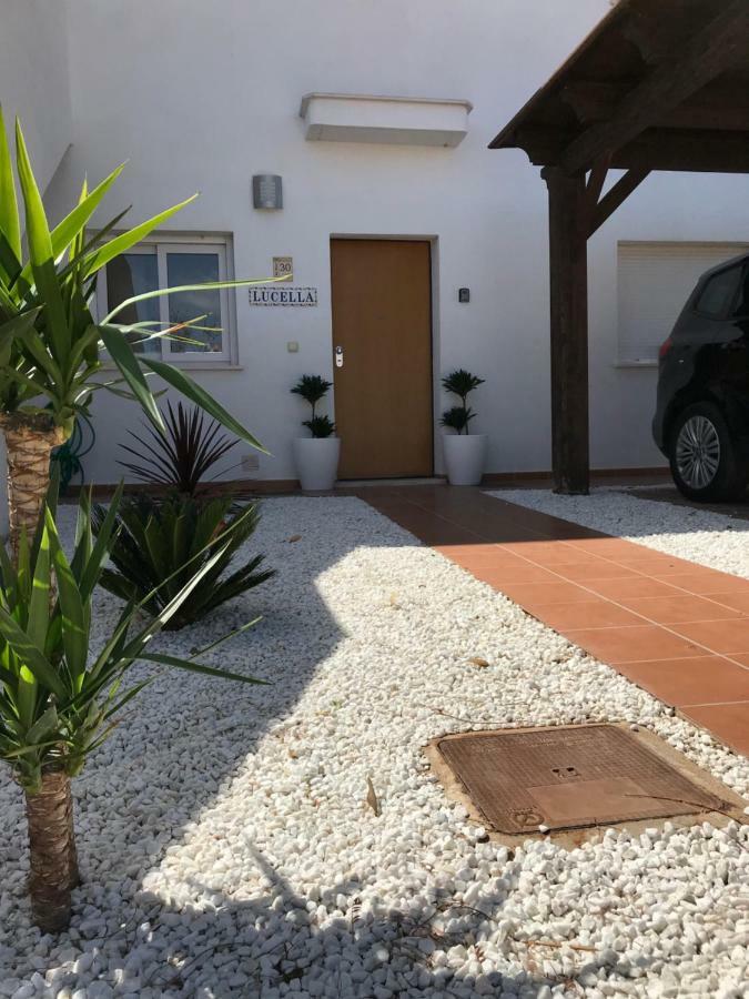 Lucella Apt *